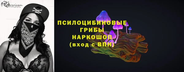 шишки Балабаново