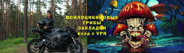 гидра Аркадак
