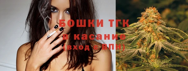 PSILOCYBIN Баксан
