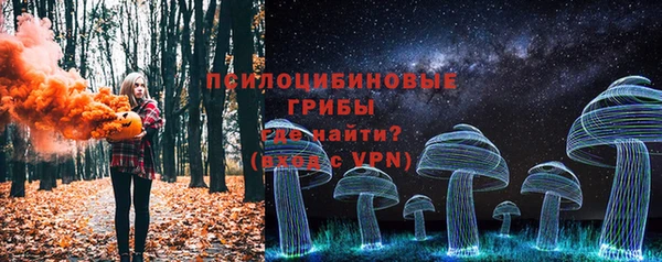 PSILOCYBIN Баксан
